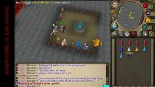 New Custom Rsps Grind 2020