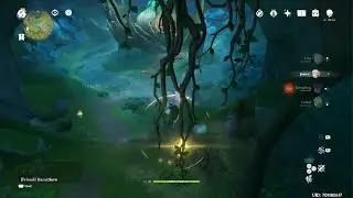 Genshin Impact ONE THING Sumeru tree only 30? MAX LEVEL REACHED? Im missing Something??!