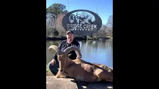 Brave Dave H taking deer and aoudad at Bridge Creek Outfitters for Apex Hunter TV