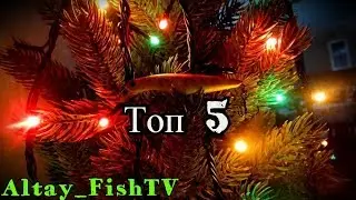 ТОП 5 лучших воблеров сезона 2017!