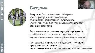 Мицеллайн. В.А Дадали о Бетулине