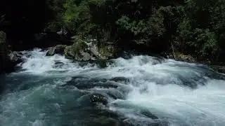 Экскурсия с ТУР-МОРЕ. АБХАЗИЯ 2022.