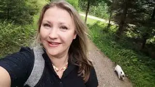 Прогулка с сиамским котом в Голлинге