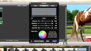 (iMovie) xPaintTheSkyx coloring tutorial