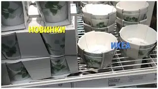 IKEA\Cool NEW\Curtains\Carpets\TABLEWARE\My PURCHASES in IKEA