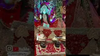 Maine Sab Kuch Paaya Daati | Jai Mata Di | Aryan And Party #jagran #maa #darbar #shorts #bhajan