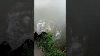 эх самокат умер