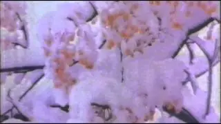 Israel Channel 1 - Jerusalem Snow 1992 - Francis Lai ערוץ 1 - שלג בירושלים 1992