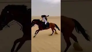 Horse riding