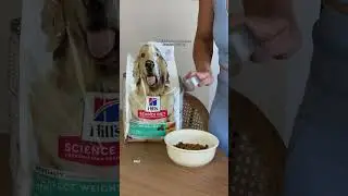 Maple’s favorite food is Hill’s Pet Nutrition! #Shorts
