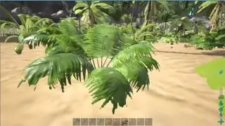ARK Survival Evolved How To Get Fiber