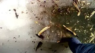 Страшные кадры с рыбалки