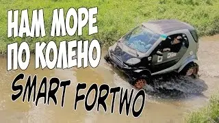 Сумашедшый Smart Fortwo на бездорожье