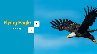 Vertical Slider | JavaScript