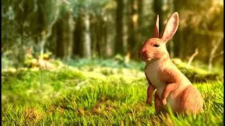 Realistic Rabbit 3d model