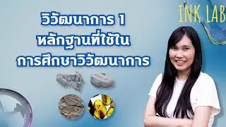 🧬วิวัฒนาการ 1 : หลักฐานที่ใช้ในการศึกษาวิวัฒนาการ [Biology part40]
