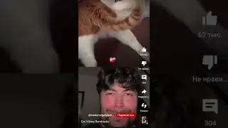 cat super bombastic