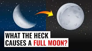 When is the next full moon and WHAT THE HECK CAUSES THEM?