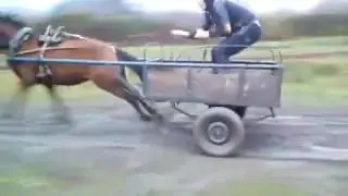 magari drifti