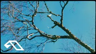 Leaving Laurel - a love, a loss