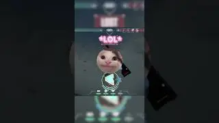 Valorant players are the smartest gamers!!!