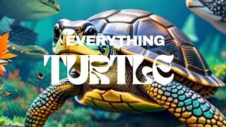 Turtle Time: Meet the World's Most Fascinating Reptiles!