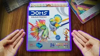 3 Reasons To Buy DOMS Colour Pencil | Review And My Opinions