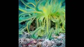 Under water part 9