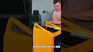 Wilson Audio Alexia V Unboxing - U-Audio換喇叭啦