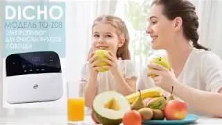 Озонатор бытовой DICHO модель TQ-Z08 (Tiens Ukraine)