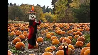 WildCraft this is halloween mep part 18, 20, & 21!