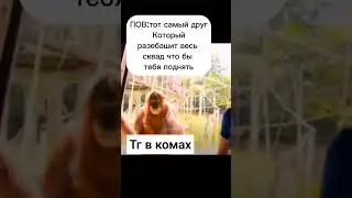 #metroroyale #пабгмобайл #pubgmobile