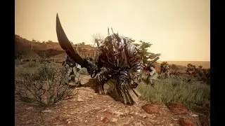 Black Desert - лучший спот для фарма сезона/академии 