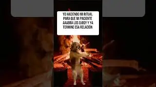 PARA COMPARTIR!! #canada #humor #parejainternacional #amor #relaciontoxica #mujer #reflexiones