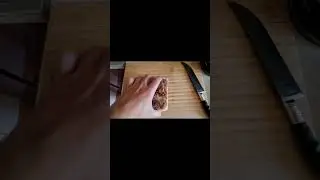 Сальце