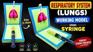 human respiratory working model(lungs) for science exhibition - diy - diypandit