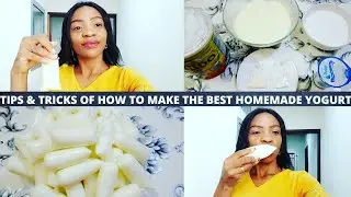 TIPS & TRICKS OF HOW TO MAKE THE BEST YOGURT AT HOME//HOMEMADE YOGURT RECIPE WITH MEASUREMENTS