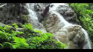 Bua Tong/Thong  Sticky Waterfalls /Chiang Mai #mavicair