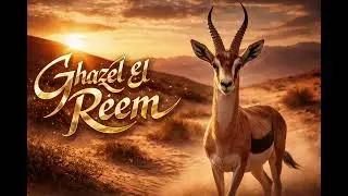 Ghazel El Reem ( vf )