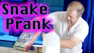Dad Finds Snake In Cereal