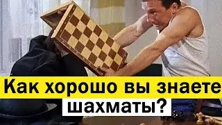 Тест по шахматам | как хорошо вы знаете шахматы?