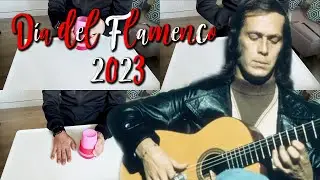 Ritmos Flamencos: Celebrando el Día del Flamenco 2023 con Pasión y Percusión