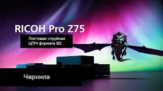 Ricoh Pro Z75 B2: чернила