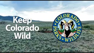 Keep Colorado Wild
