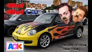 Hot Dogs in a Hot Car