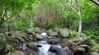 Video 4