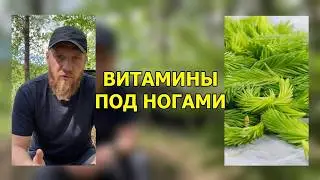 Какие самые лучшие витамины и где их брать