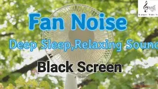 Fan Noise, Deep Sleep, Relaxing Sound
