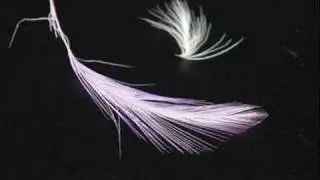 The Corrs - Toss the Feathers!