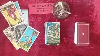 Как лучше всего с ним себя вести? 